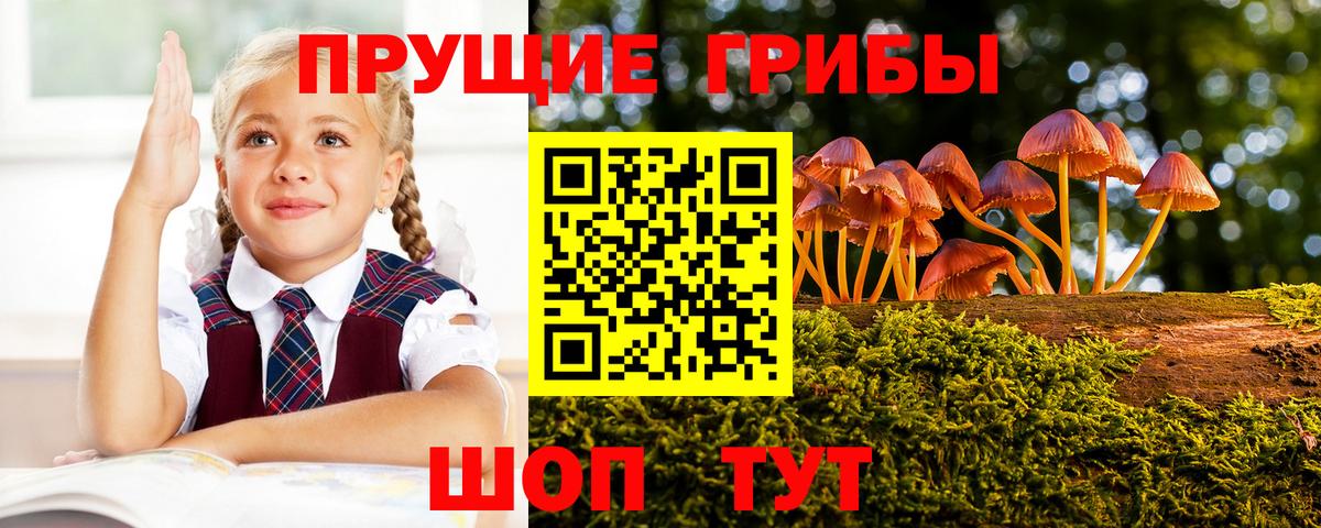 Псилоцибиновые грибы мицелий Менделеевск